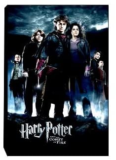 Harry Potter > Goblet Of Fire Canvas Art - fimurineforall.com