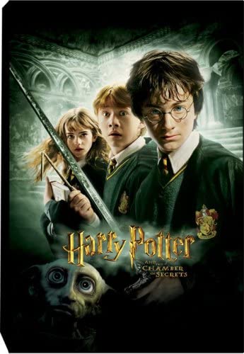 Harry Potter Chamber of Secrets Canvas Art - fimurineforall.com