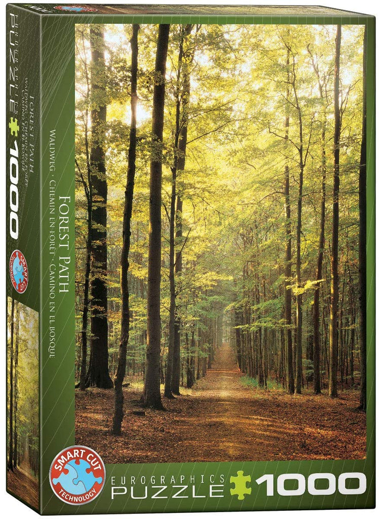 Puzzle 1000 Piece - Forest Path Jigsaw Puzzle 6000-3846 - fimurineforall.com
